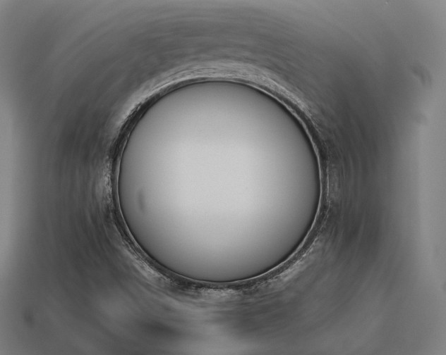 X0000113761498200909231153