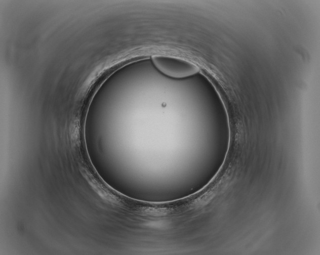 X0000113761499200909231153