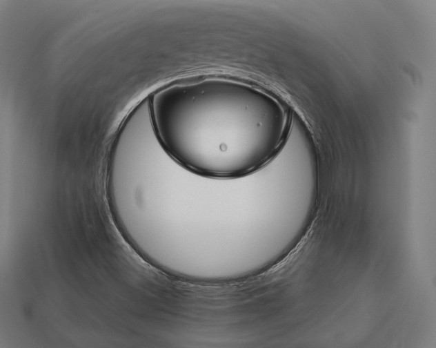 X0000113761500200909231153
