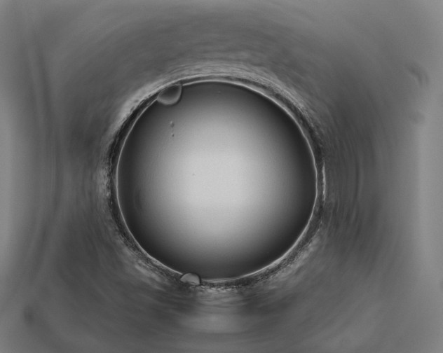 X0000113761501200909231153