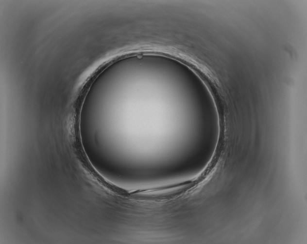 X0000113761502200909231153