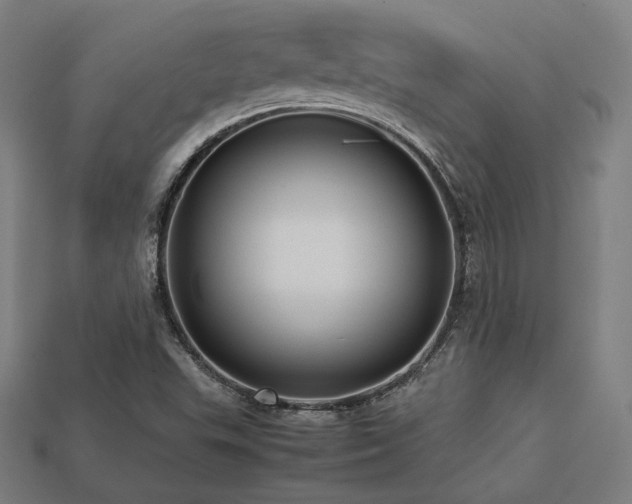 X0000113761503200909231154