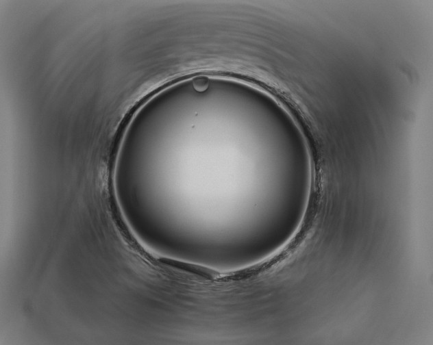X0000113761505200909231154