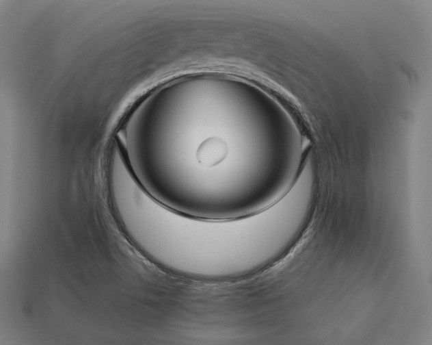 X0000113761506200909231154