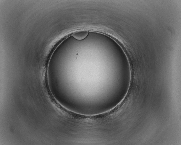 X0000113761507200909231154