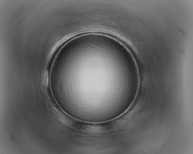 X0000113761509200909231154
