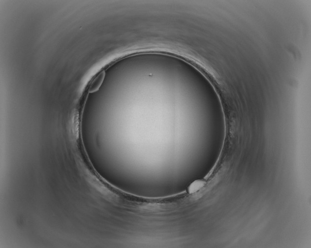 X0000113761510200909231154