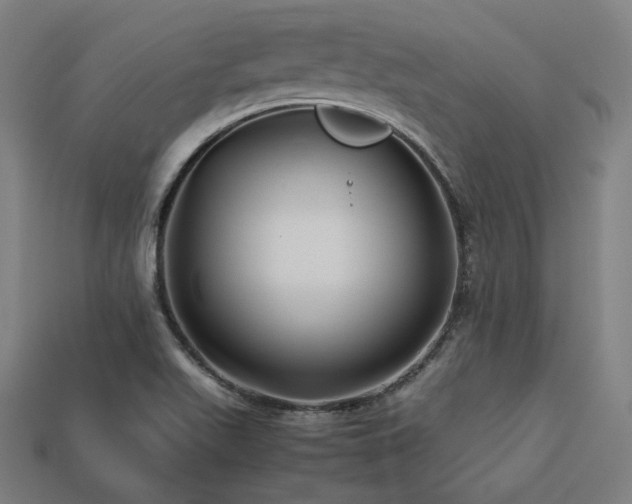 X0000113761511200909231154