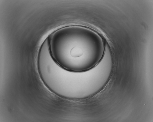 X0000113761512200909231154