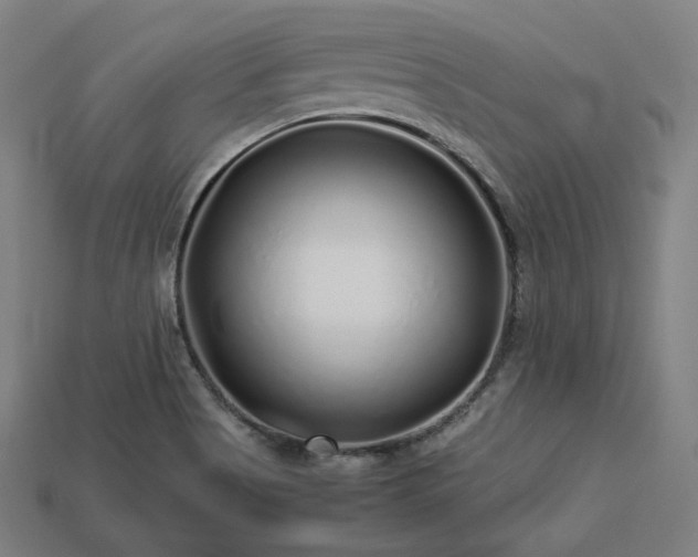 X0000113761513200909231154