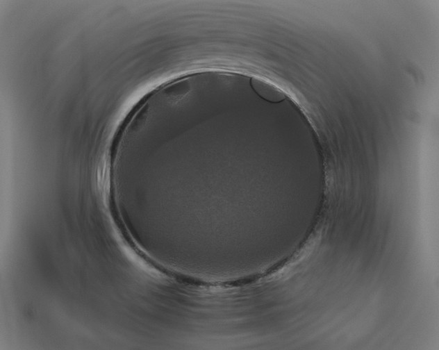 X0000113761515200909231154