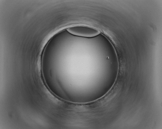 X0000113761516200909231154