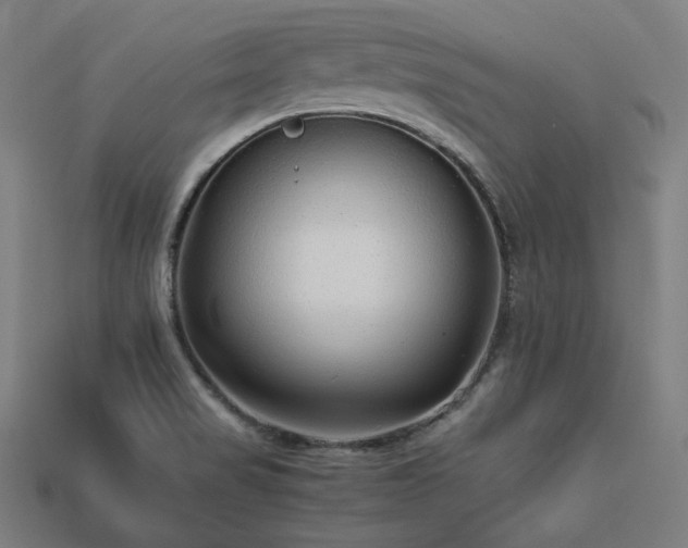 X0000113761517200909231154