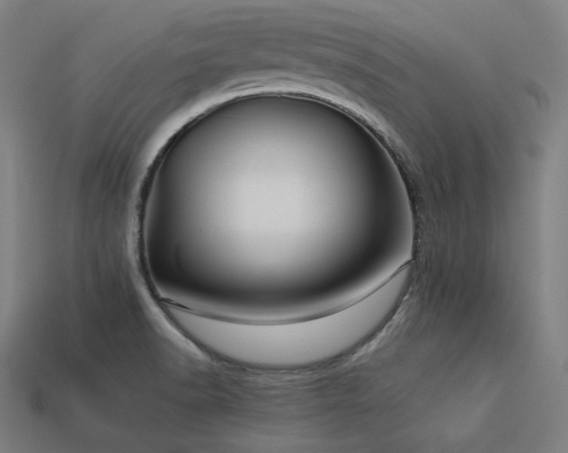 X0000113761518200909231154