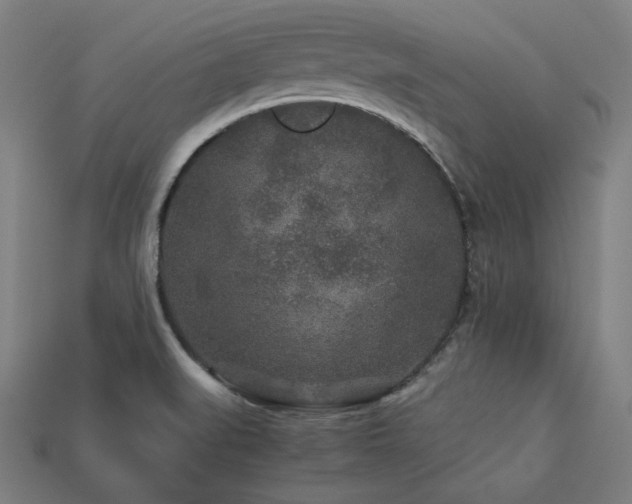 X0000113761519200909231154