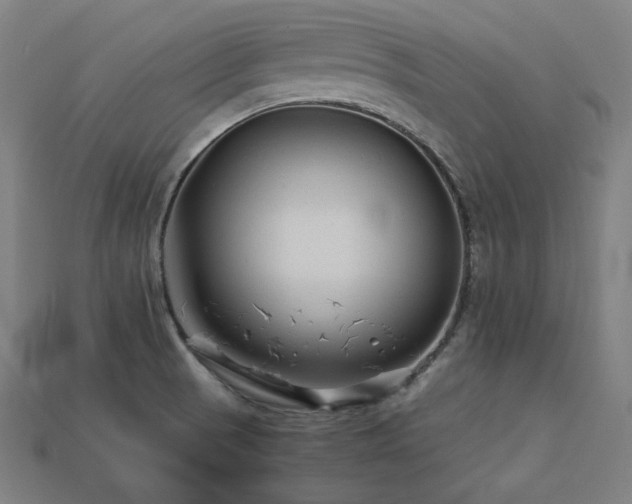 X0000113761521200909231154