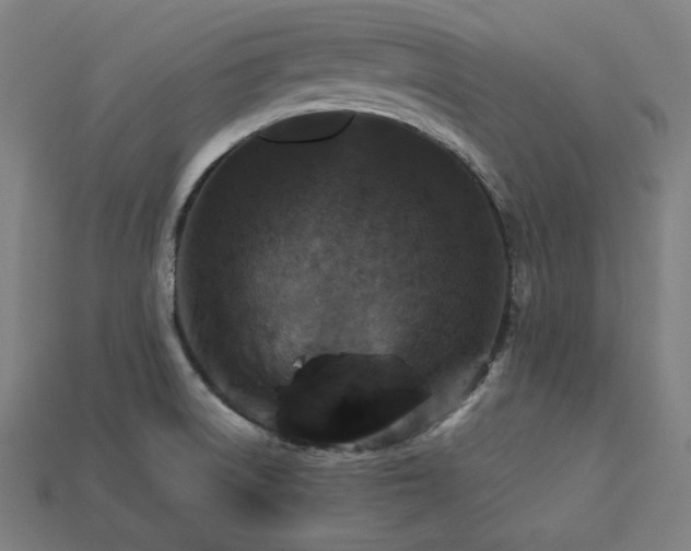 X0000113761522200909231154