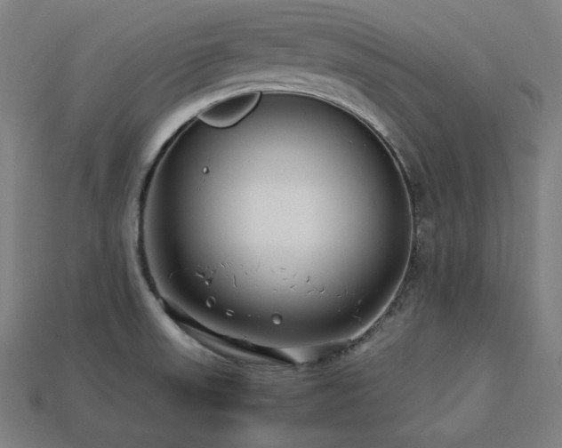 X0000113761523200909231154