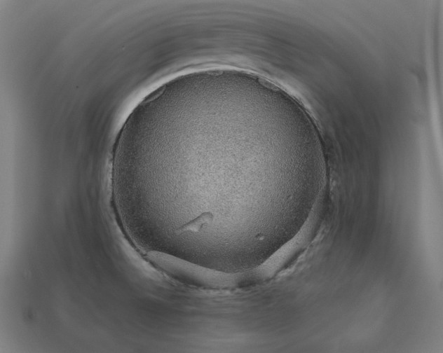 X0000113761524200909231154