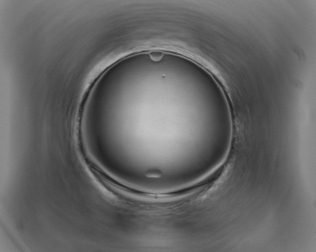 X0000113761525200909231154