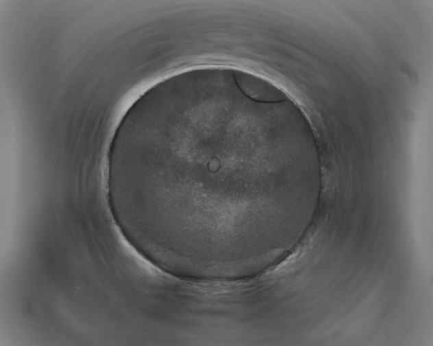 X0000113761527200909231154