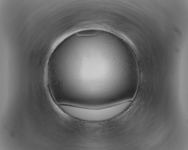 X0000113761528200909231154