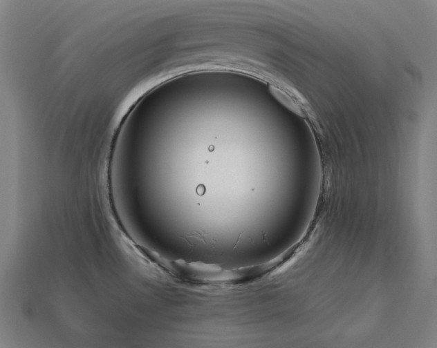 X0000113761530200909231154