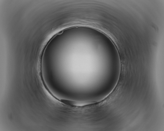 X0000113761531200909231154