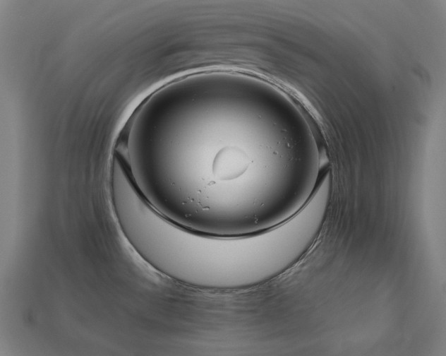 X0000113761532200909231154