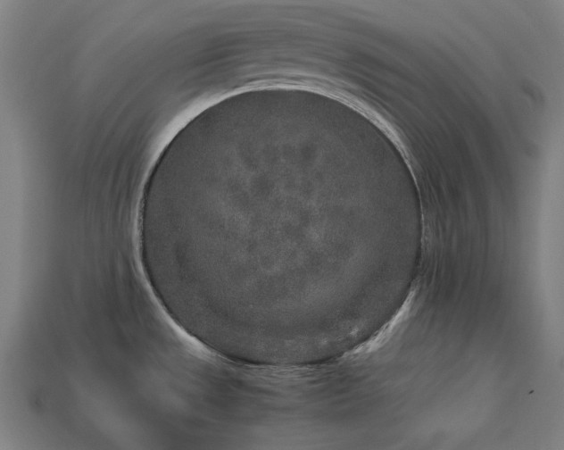 X0000113761533200909231154