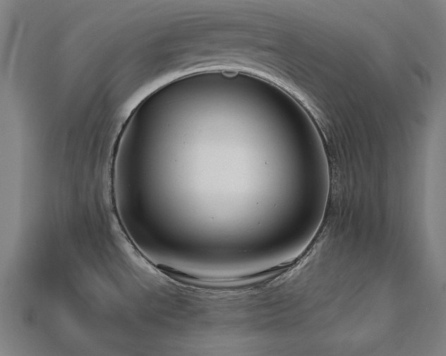 X0000113761534200909231154