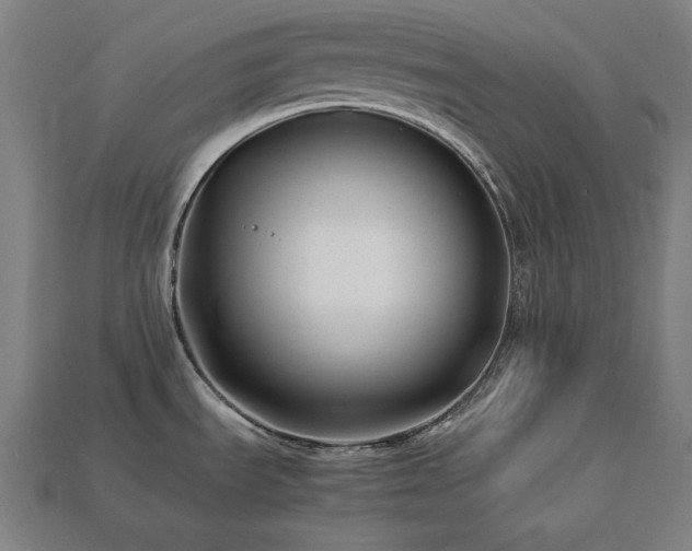 X0000113761535200909231154