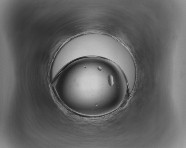 X0000113760001200909301119