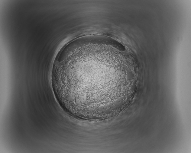 X0000113760003200909301119