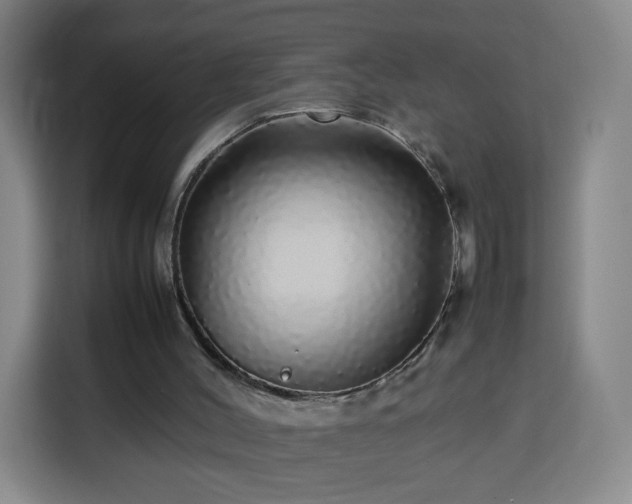 X0000113760004200909301118