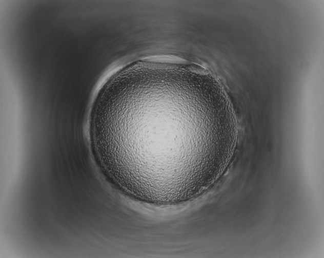 X0000113760006200909301118