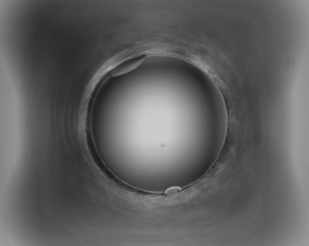 X0000113760007200909301118