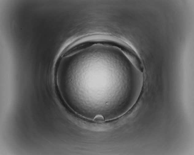 X0000113760008200909301118