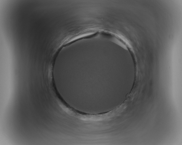 X0000113760009200909301118