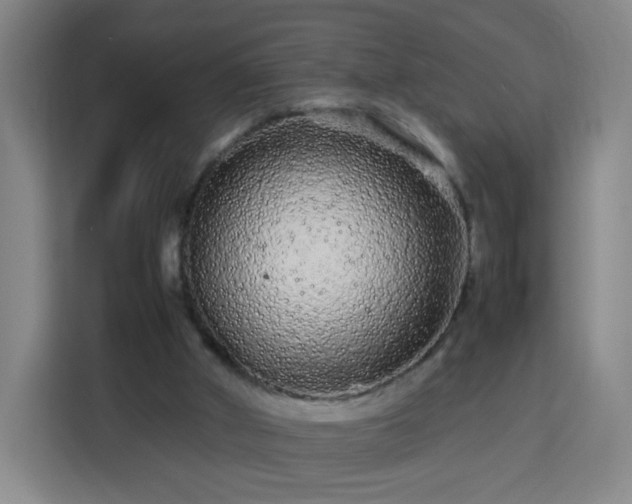 X0000113760010200909301118