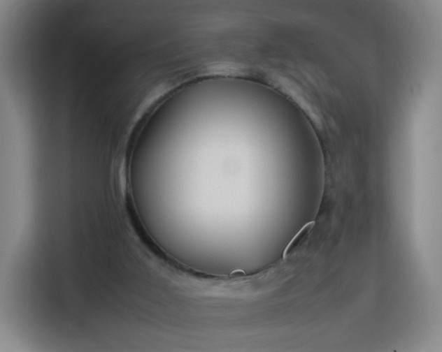 X0000113760011200909301118