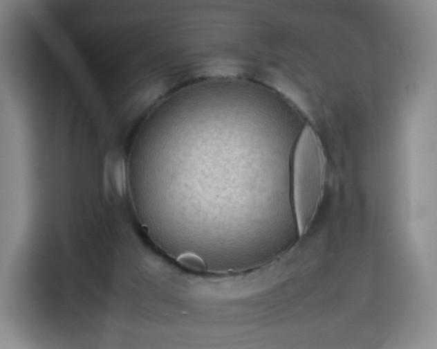 X0000113760013200909301118