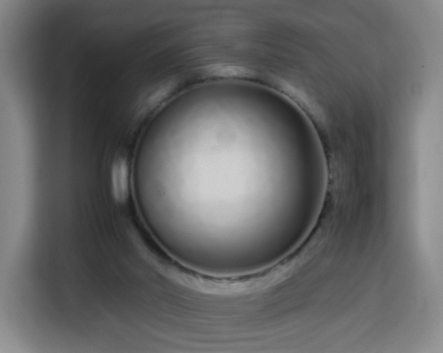 X0000113760014200909301118