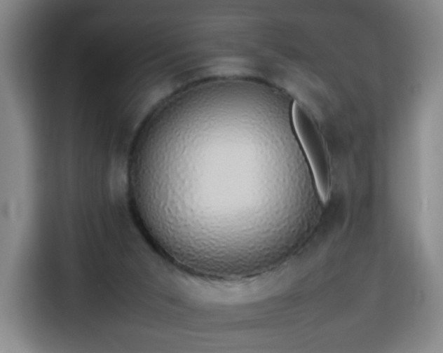 X0000113760015200909301118
