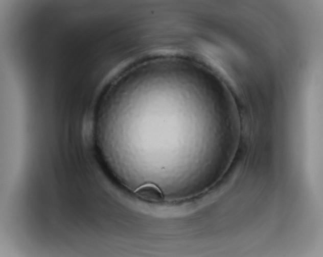 X0000113760016200909301118