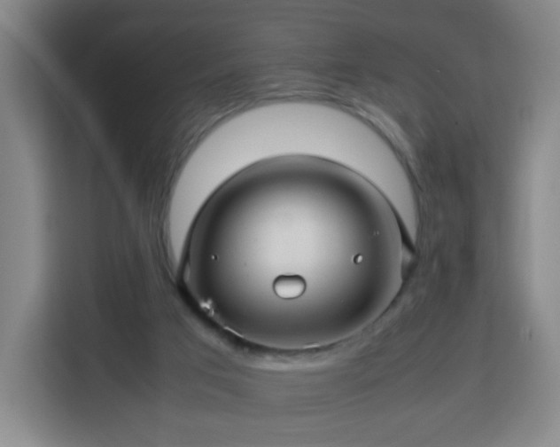 X0000113760017200909301118
