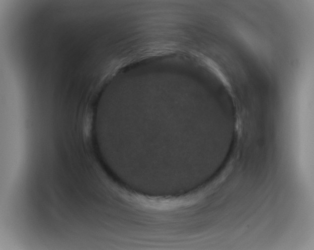 X0000113760018200909301118