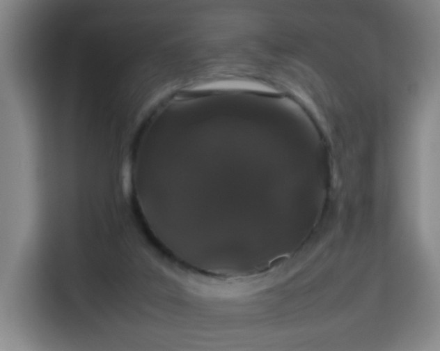 X0000113760019200909301118
