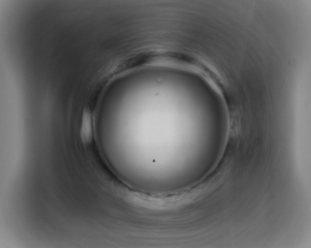 X0000113760022200909301118