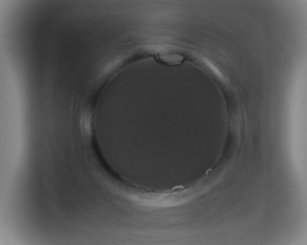 X0000113760023200909301118